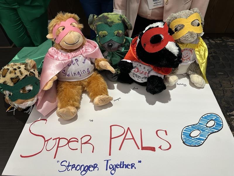 Handmade stuffed animals in super hero costumes sitting on a table with the words Super Pals stronger together written out.
